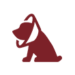 Dog Surgery Icon